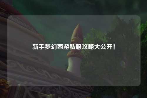 新手梦幻西游私服攻略大公开！